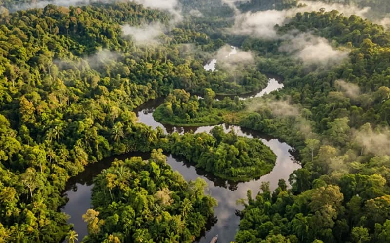 Kalimantan - Paket Wisata Indonesia