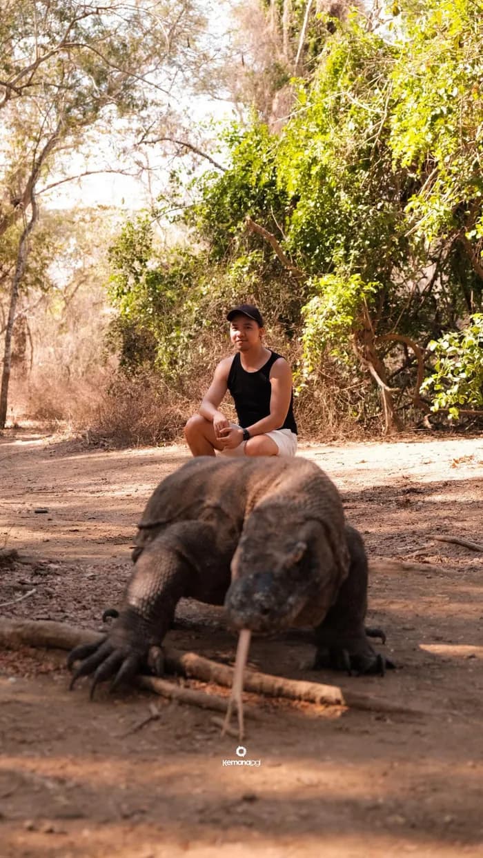 Close encounter with a Komodo dragon