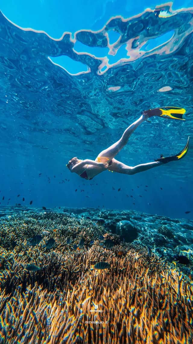 Snorkeling over a coral reef in Komodo National Park