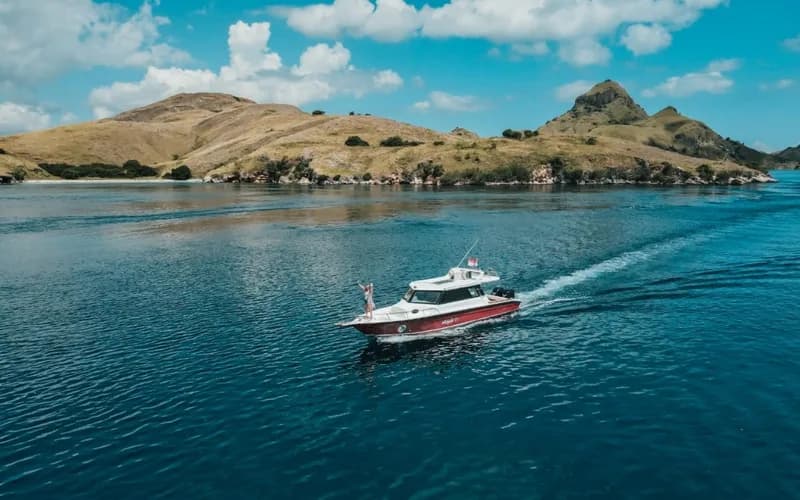 One Day Tour Komodo - Komodo Labuan Bajo Phinisi Boat Tour Package