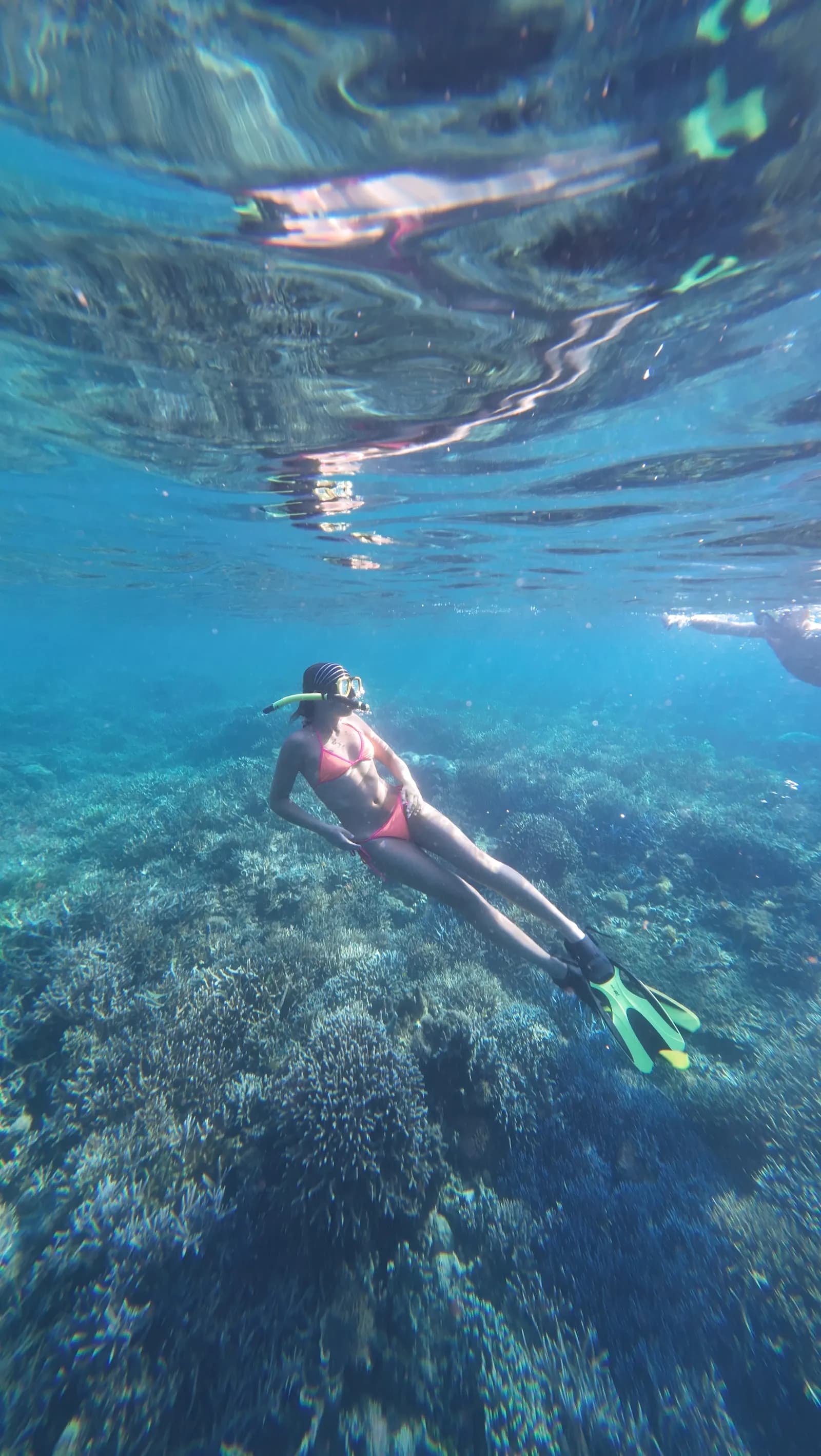 科莫多一日游 - Snorkeling - Full Day Tour Komodo