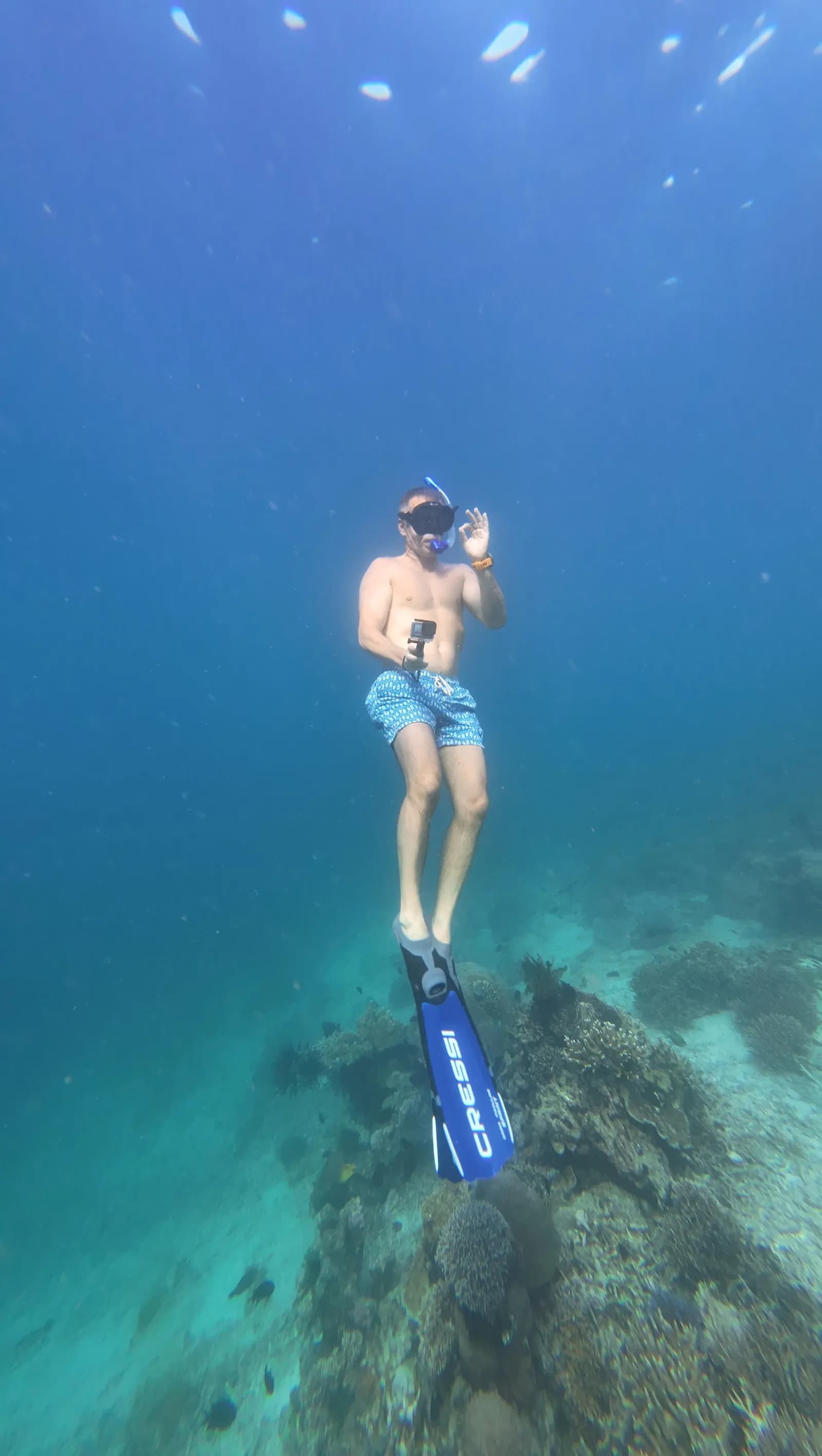 Day Tour Komodo Sehari - Snorkeling - Full Day Tour Komodo