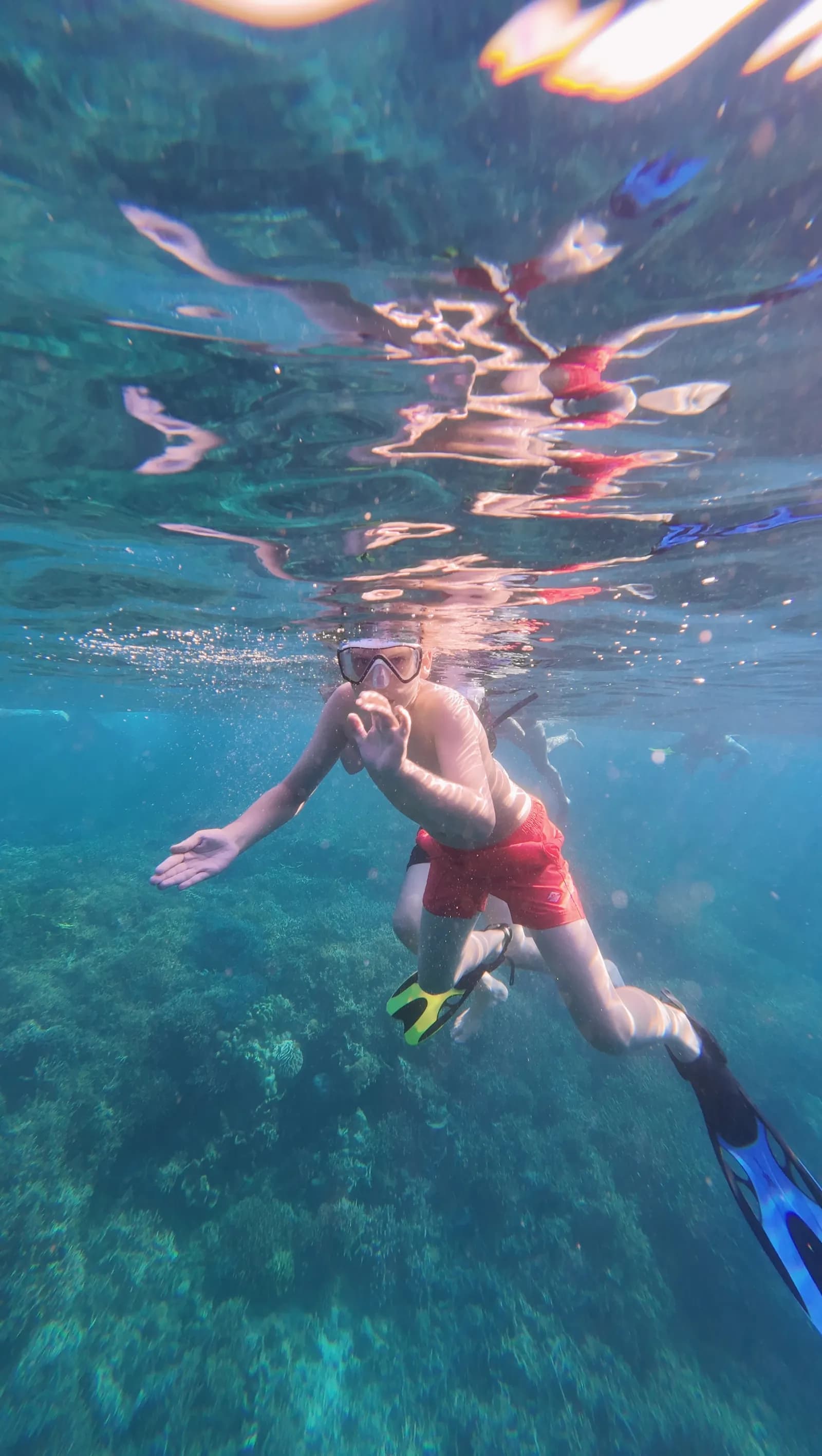 科莫多一日游 - Snorkeling - Full Day Tour Komodo