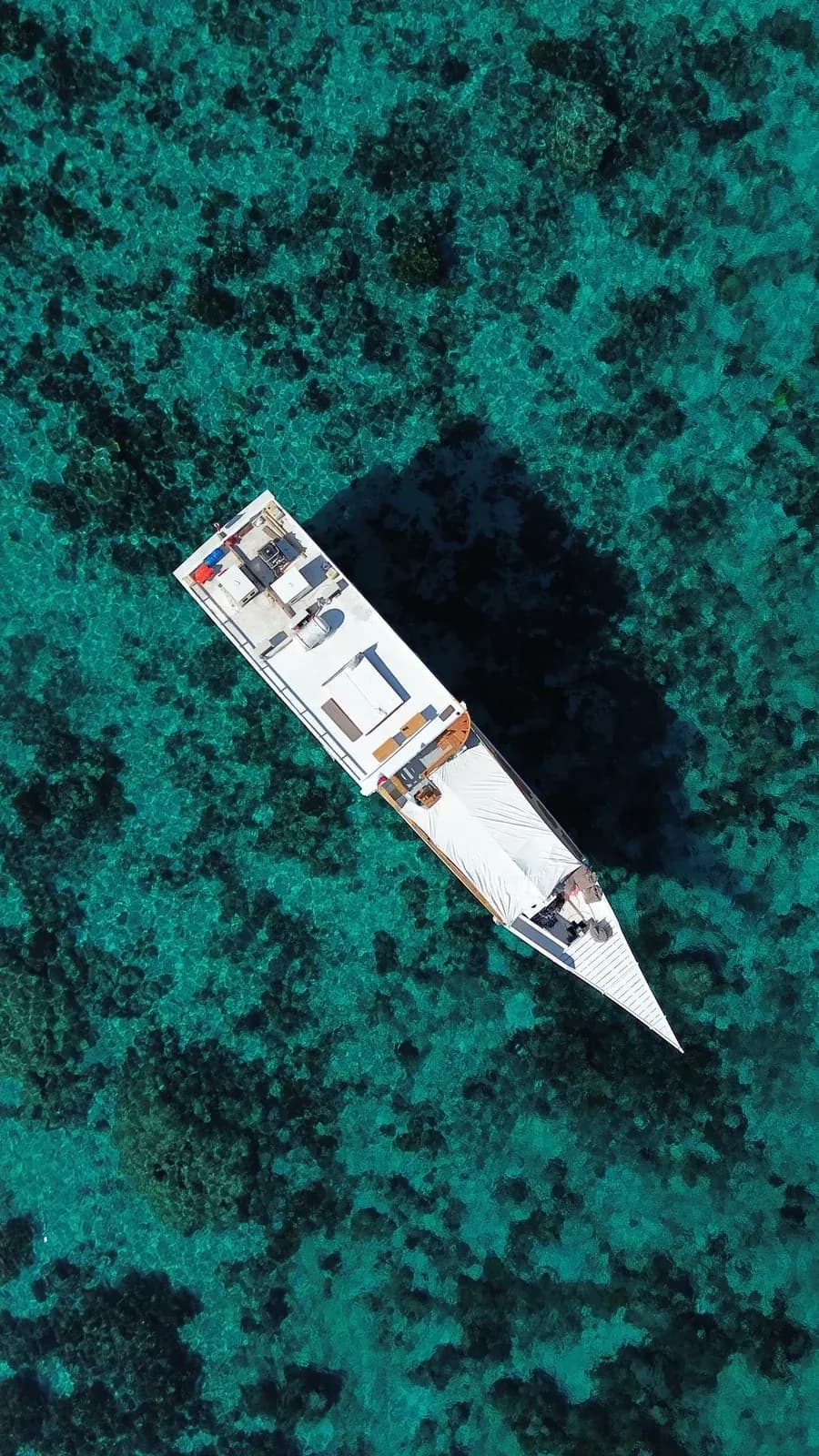 Privatcharter – Zendaya - Privatcharter – Zendaya - Full Day Tour Komodo