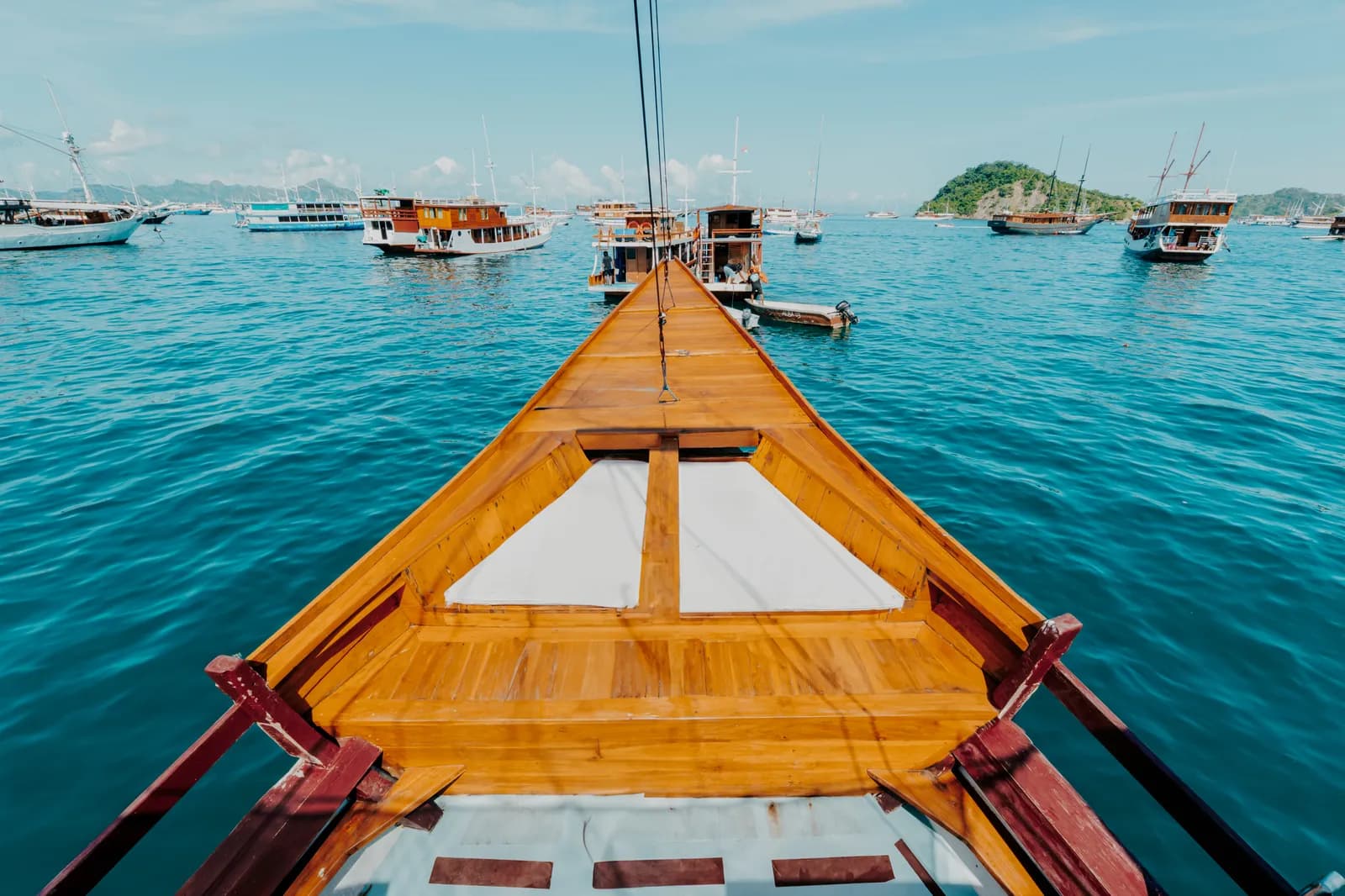 Komodo Tour 3D2N - Amore Phinisi - Komodo Tour 3D2N - Amore Phinisi - Full Day Tour Komodo