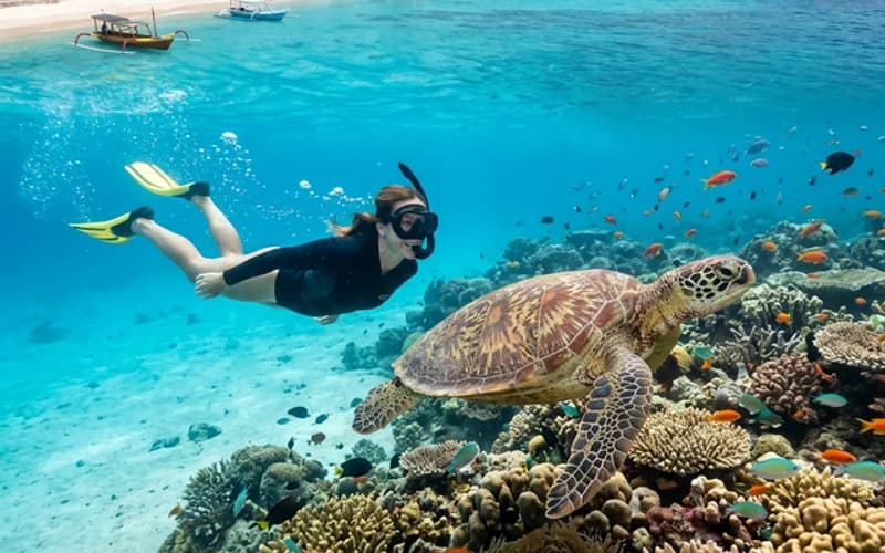 Belongas Bay Advanced Dive - Komodo Labuan Bajo Phinisi Boat Tour Package